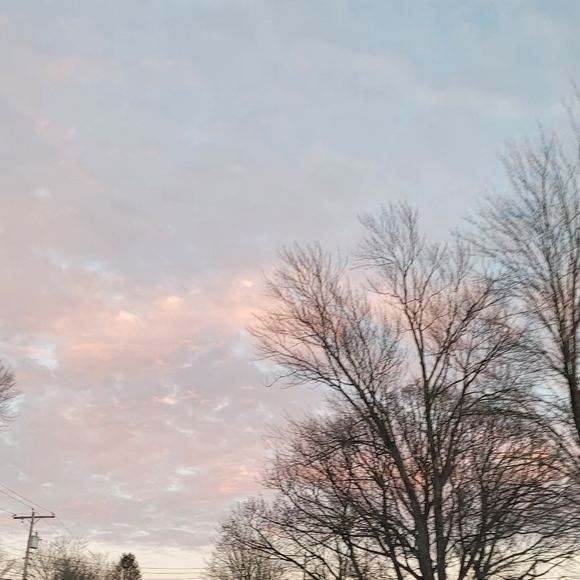 Meet your Posher, Dee - Picture 2 of 2